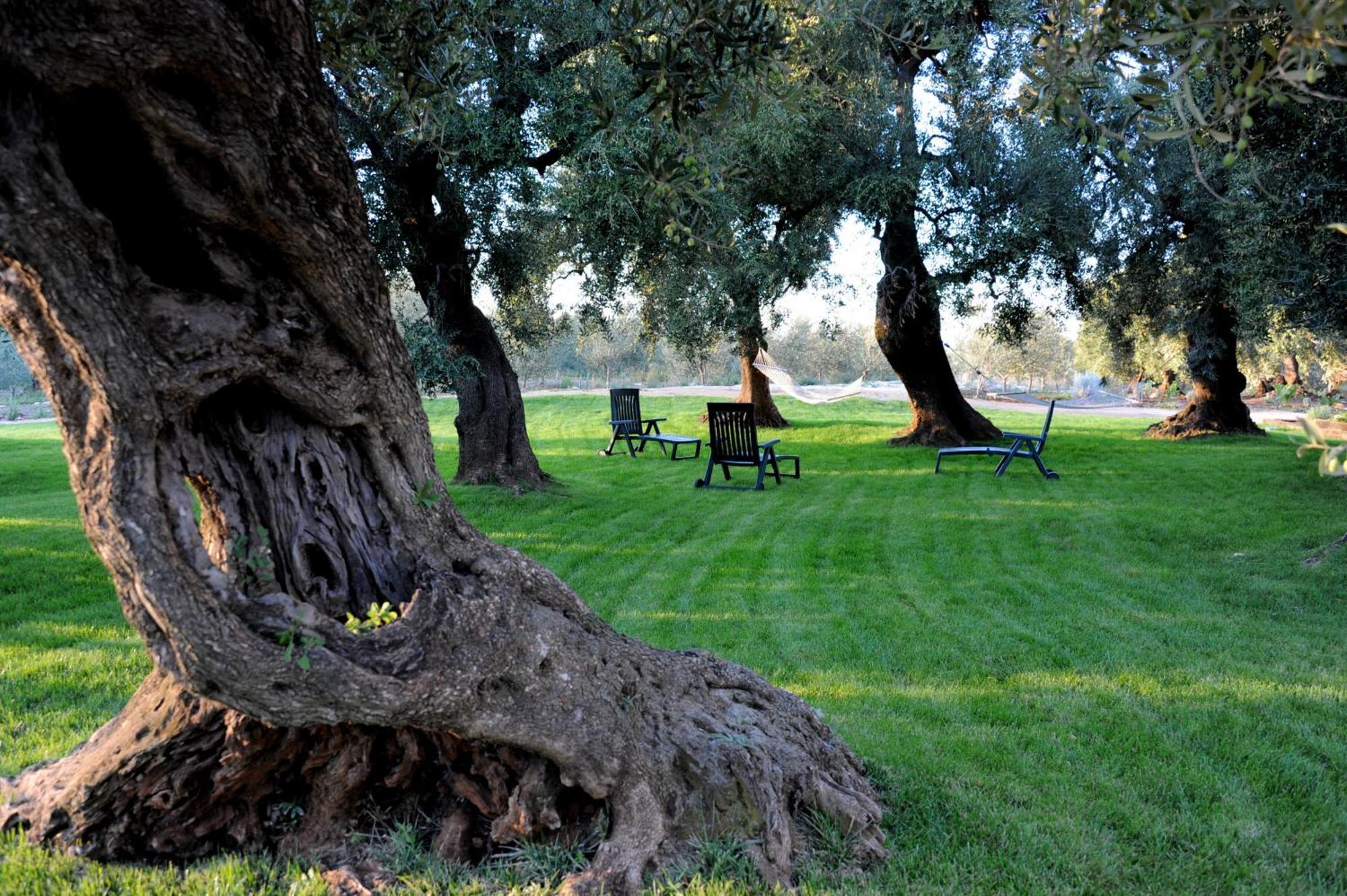 Masseria Lama Di Galizia Ostuni Ngoại thất bức ảnh