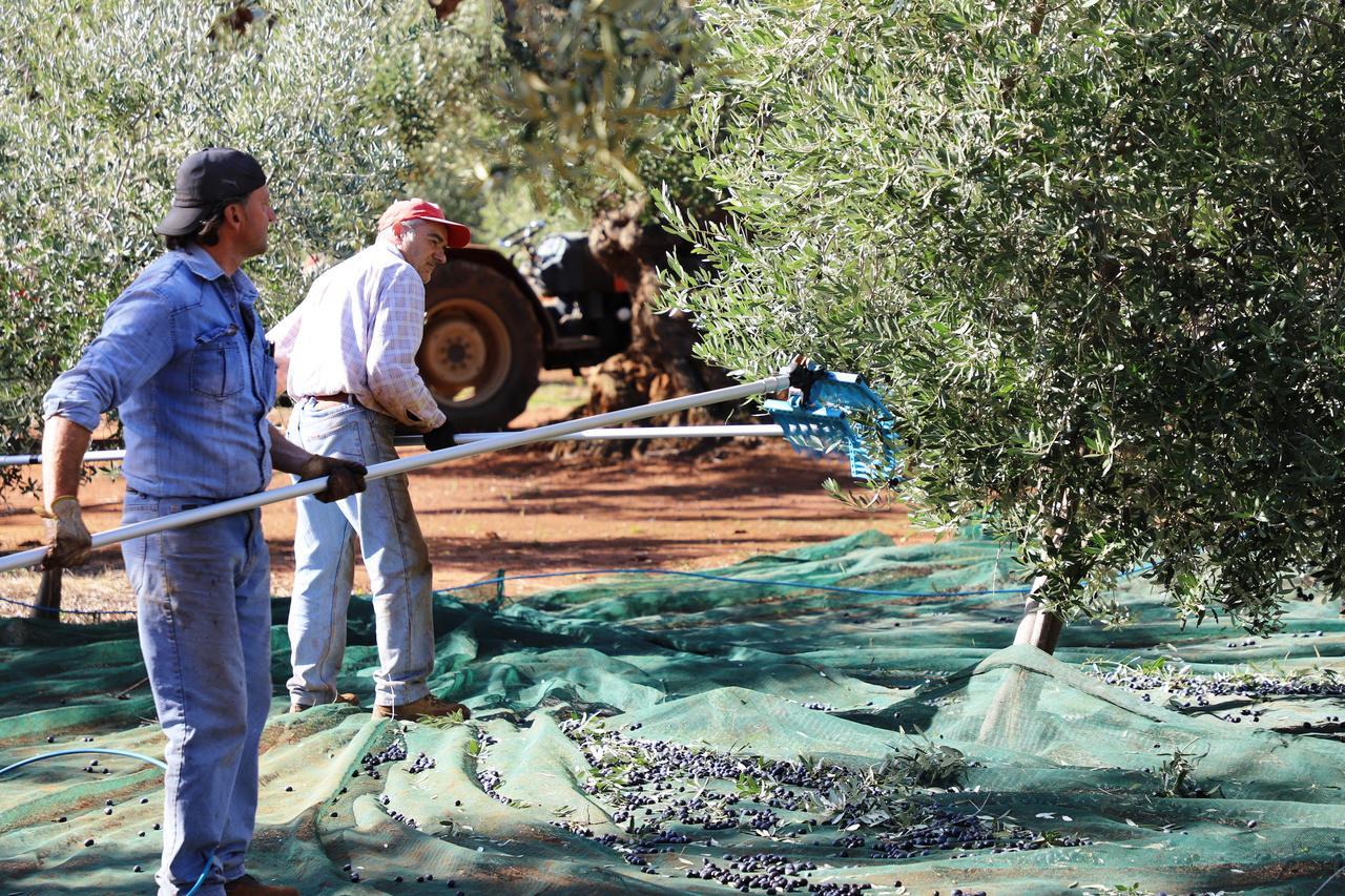 Masseria Lama Di Galizia Ostuni Ngoại thất bức ảnh