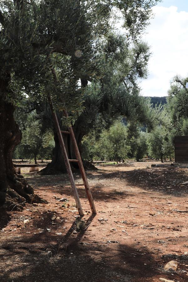 Masseria Lama Di Galizia Ostuni Ngoại thất bức ảnh